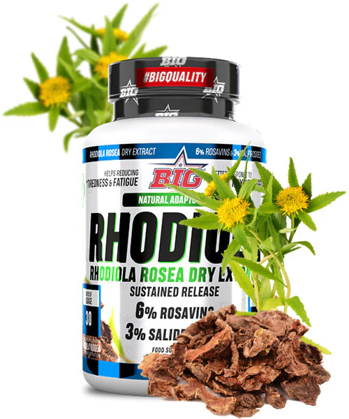 RHODIOLA - Image 2